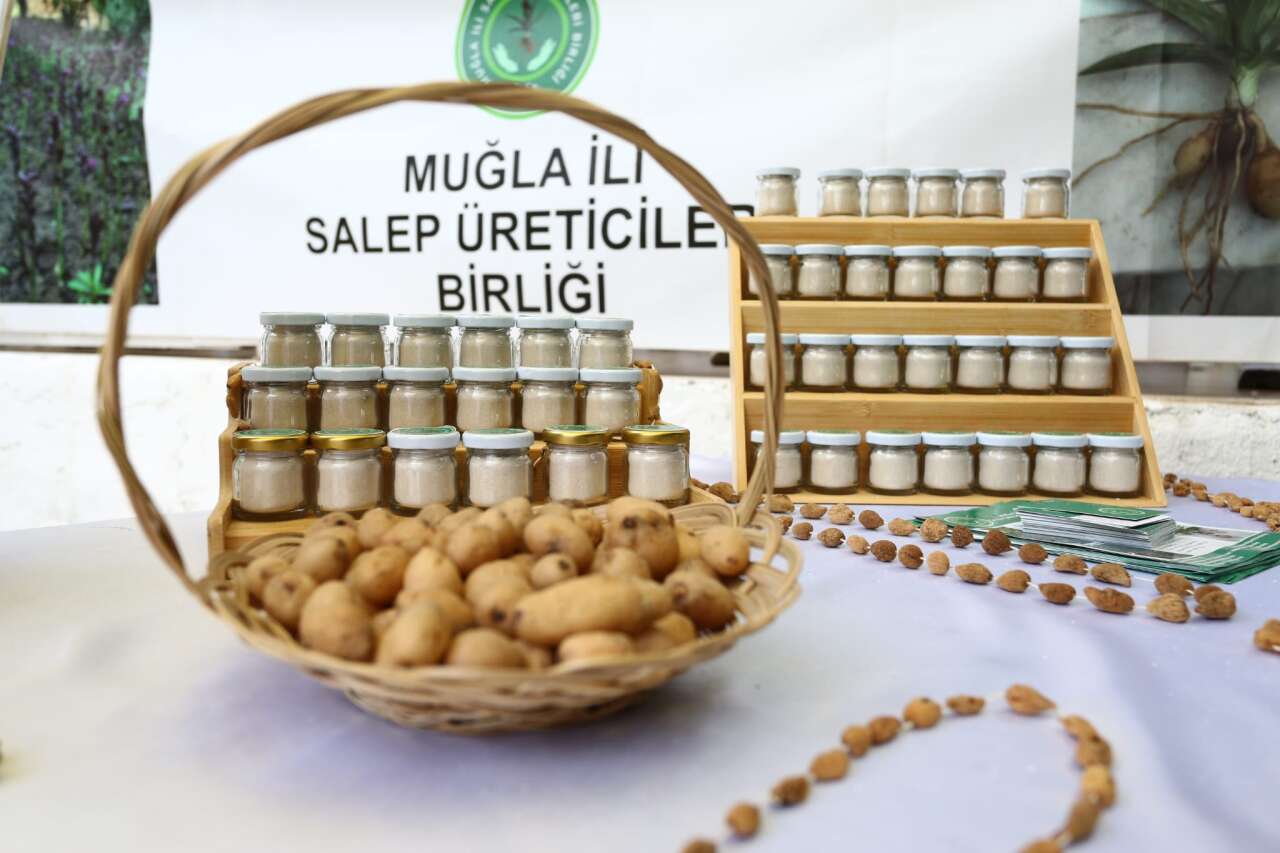 Yatağan’da Salep Hasadı Yapıldı: Muğla Türkiye’de İkinci Sırada 5